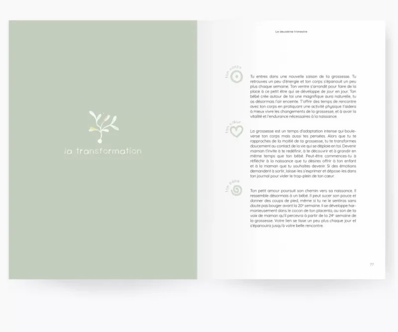 Livre | Guide de grossesse (mere)veilleuse