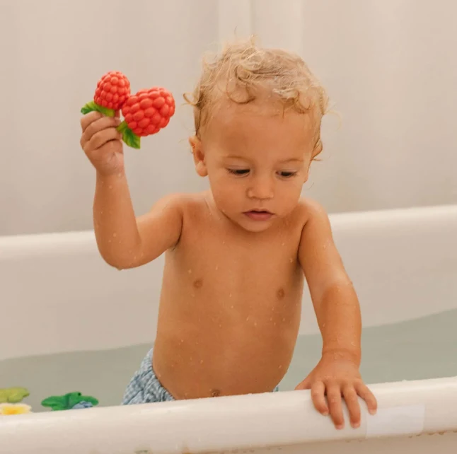 Jouet de dentition | Framboises