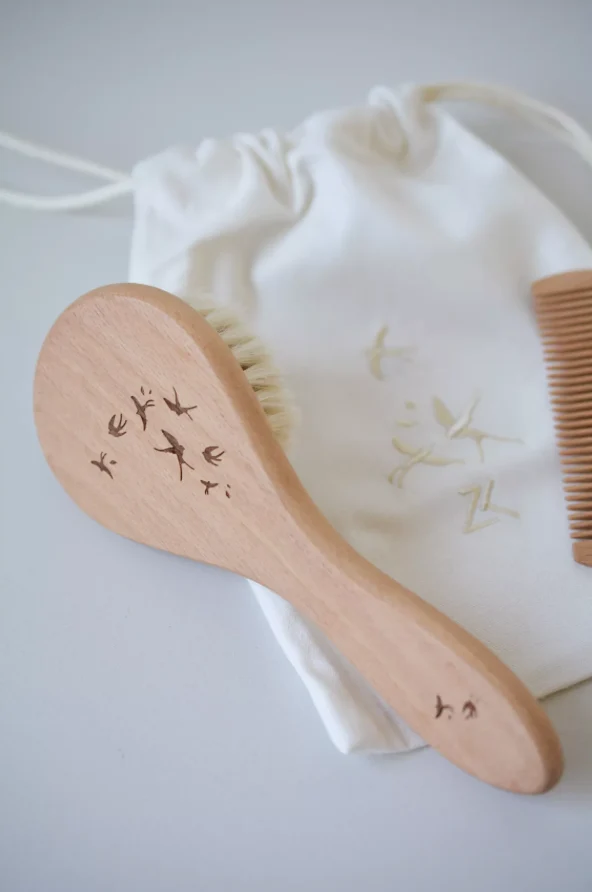 Set brosse & peigne