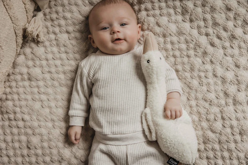 Peluche bruit blanc | Oie